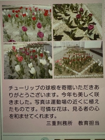 w_nabari_katsudo_03_c_2025.jpg